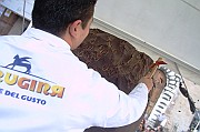 eurochocolate (5)